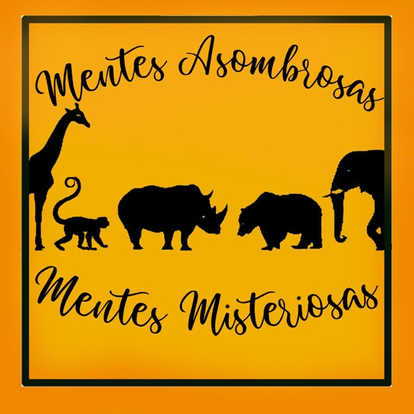 Mentes Asombrosas, Mentes Misteriosas